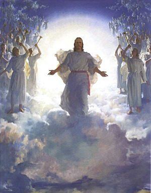 The Angels
